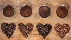 Les grains de café sontils des graines